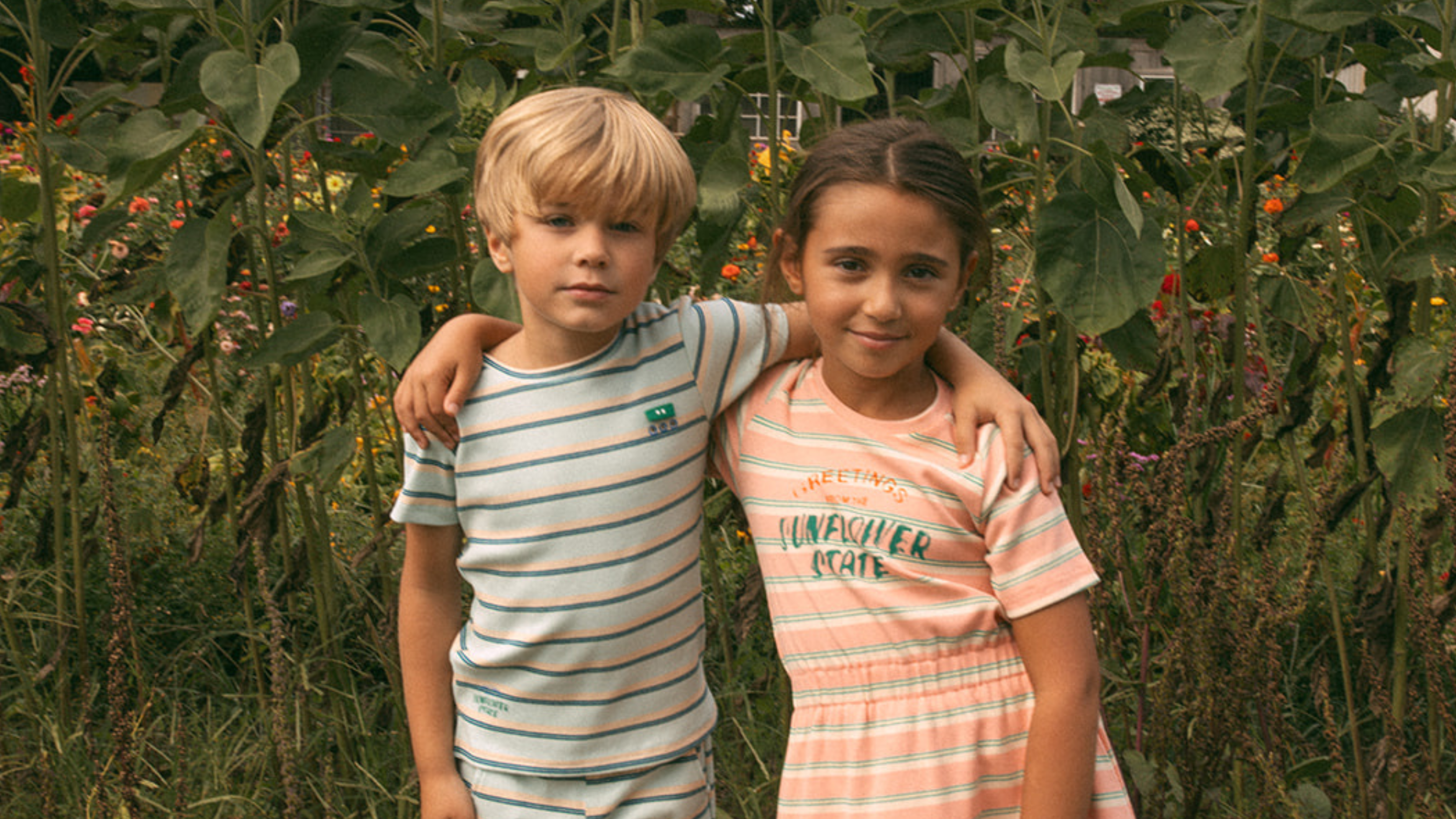 Sunflower State Collection