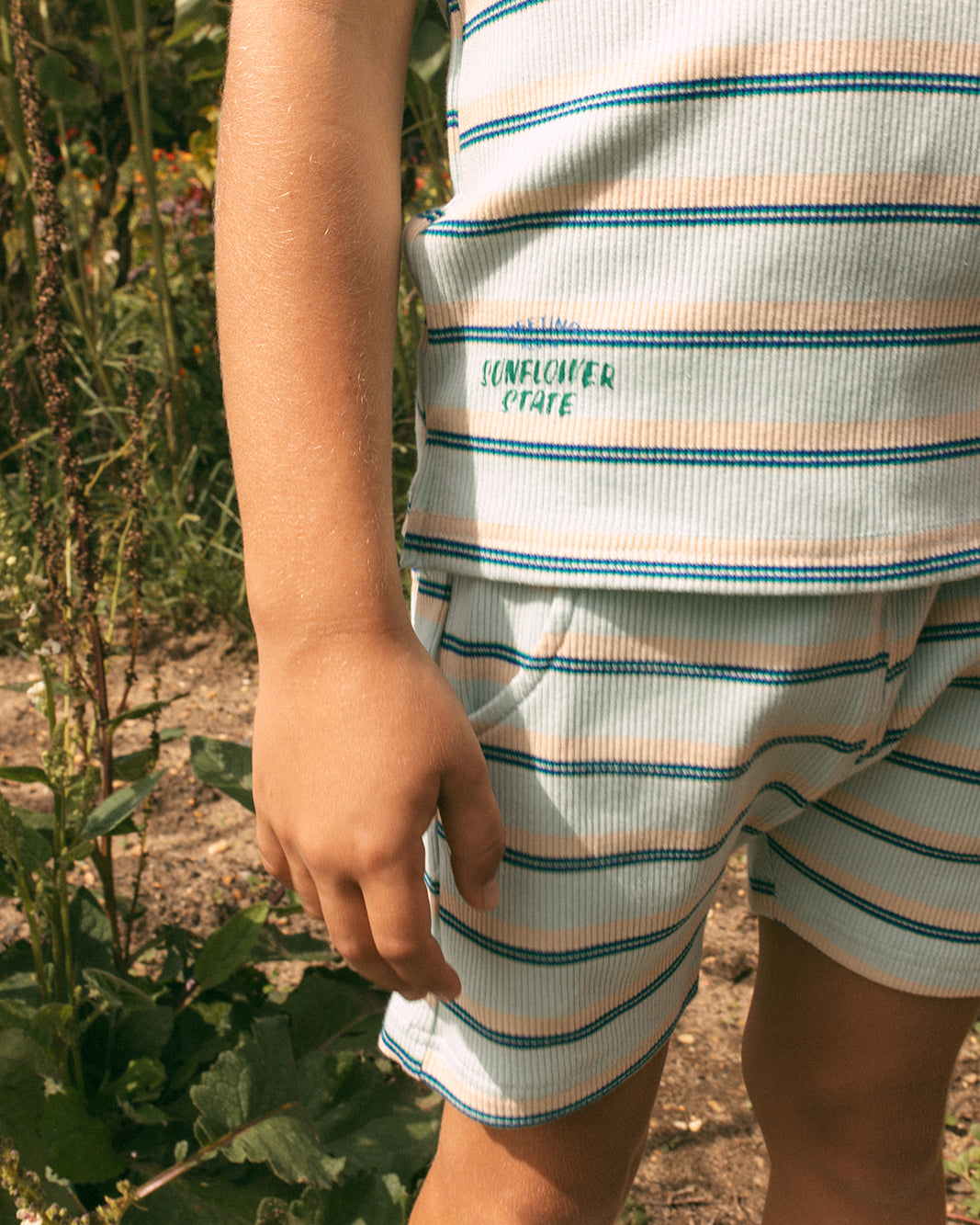 Parker Shorts