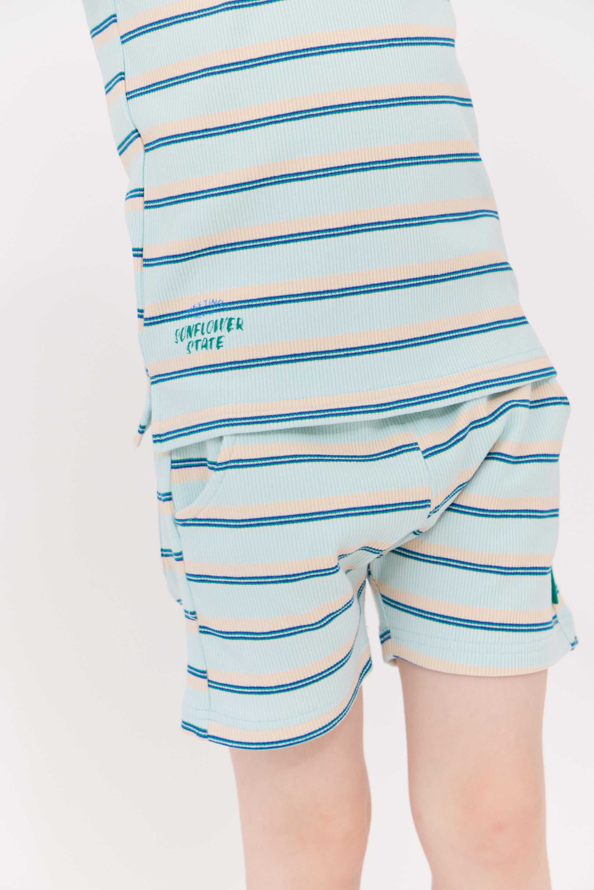 Parker Shorts